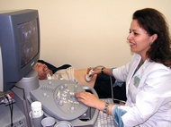 Фотогалерея