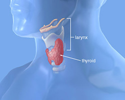 Заболевания щитовидной железы